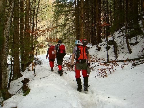 Carpati.org