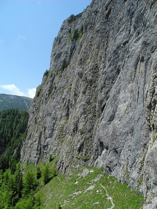 /brana/img_1478.jpg