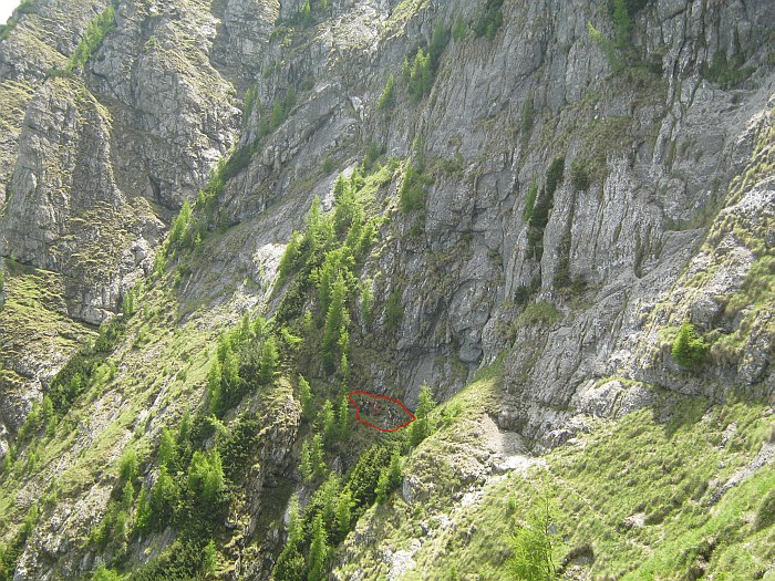 /brana/img_1540.jpg