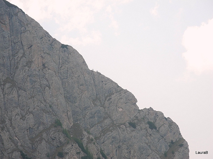 /brana/img_1551.jpg
