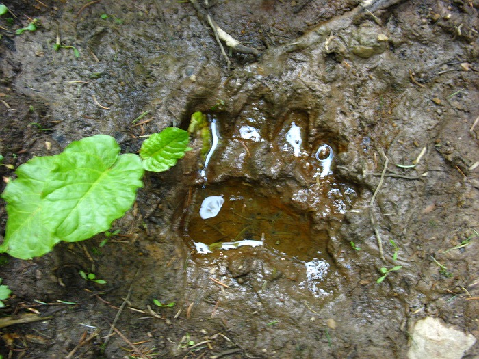 /continuare/04-laba.jpg