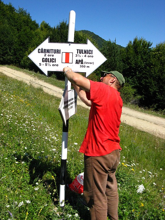 /continuare/44-poiana_sageti.jpg