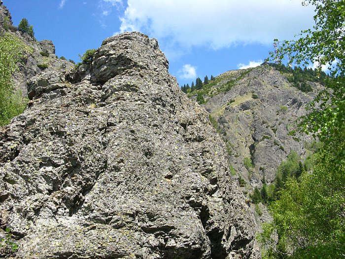 /cozia/img_7082.jpg