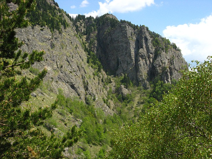/cozia/img_7085.jpg