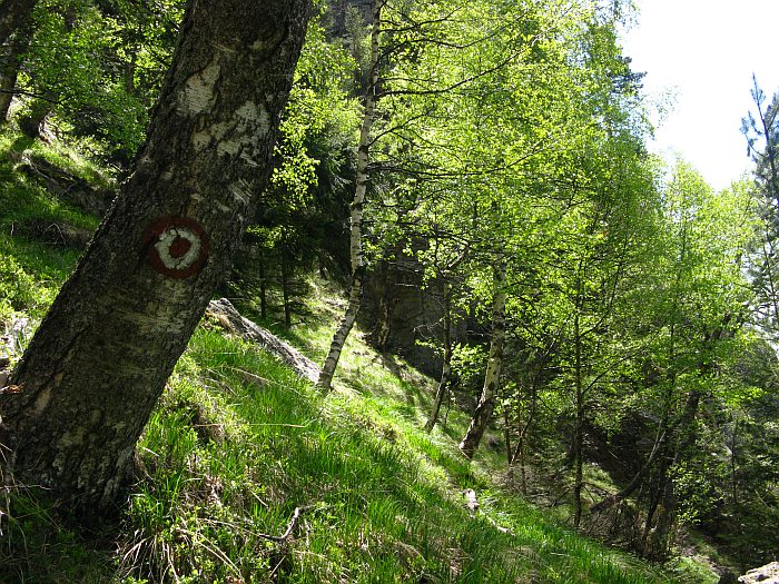 /cozia/img_7087.jpg