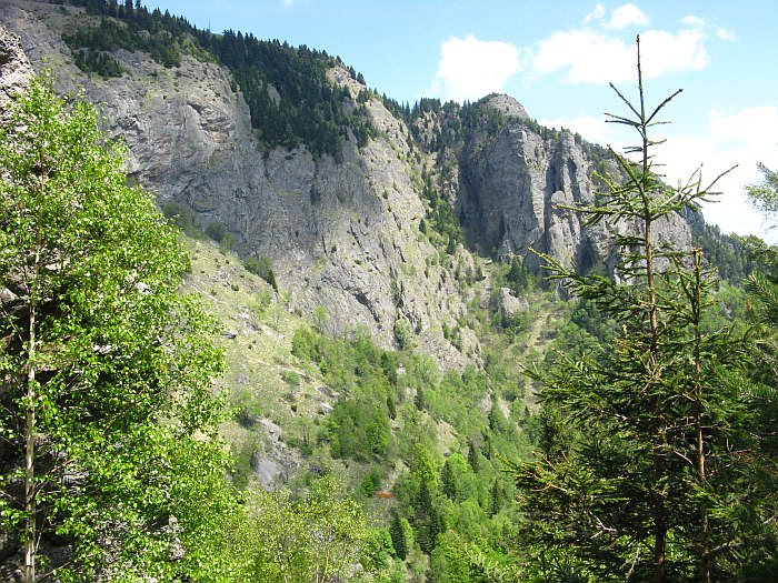 /cozia/img_7089.jpg