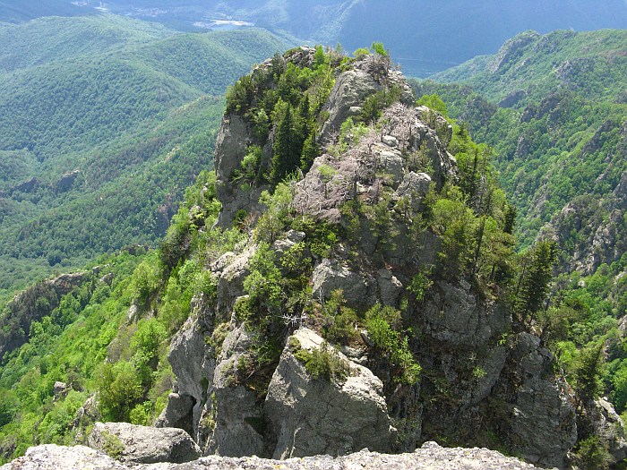 /cozia/img_7100.jpg