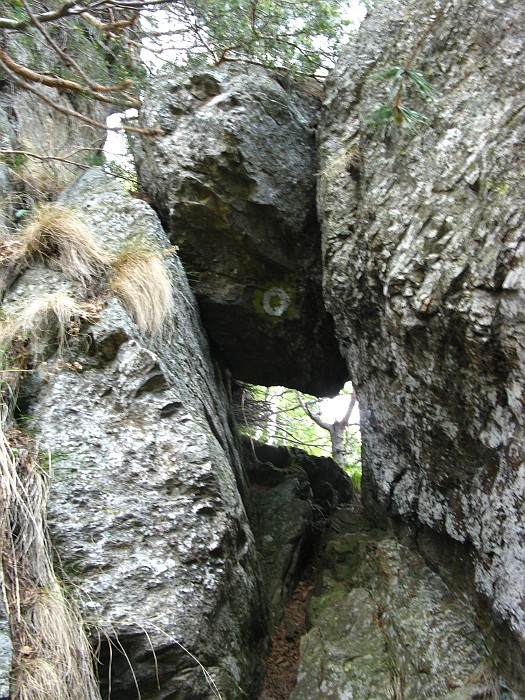 /cozia/img_7101.jpg
