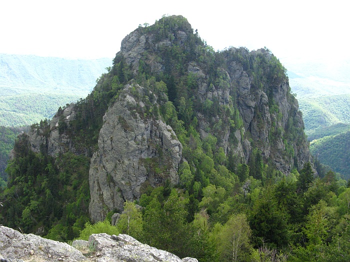 /cozia/img_7103.jpg