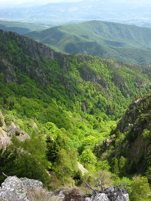 /cozia/img_7105.jpg