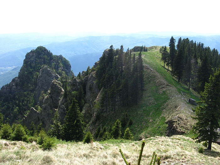 /cozia/img_7107.jpg