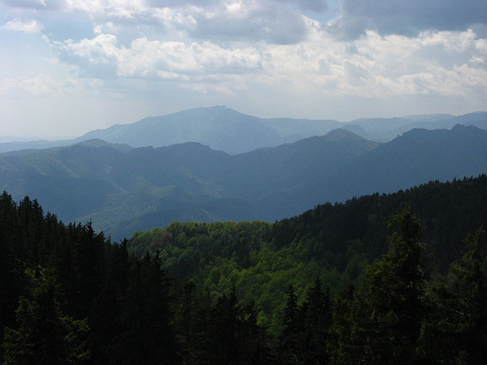 /cozia/img_7109.jpg