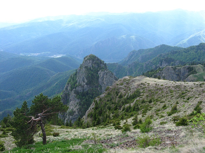 /cozia/img_7111.jpg
