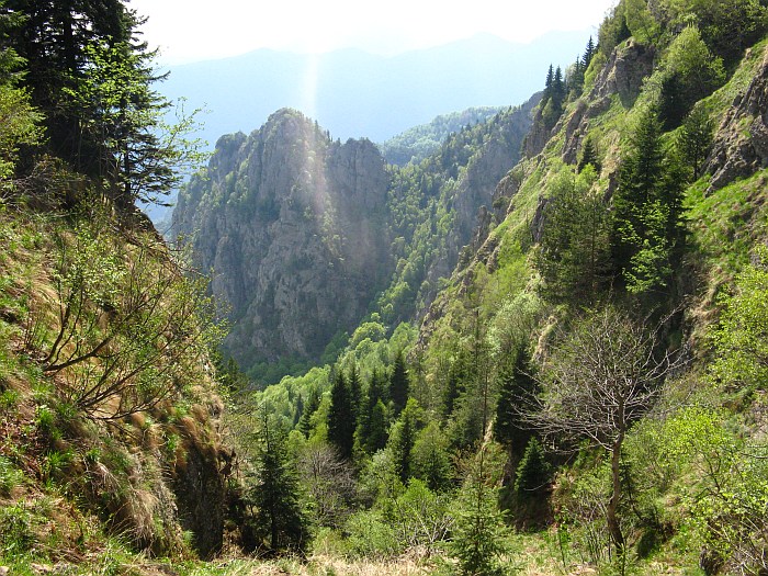 /cozia/img_7121.jpg