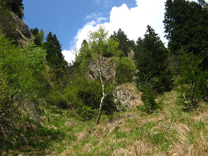 /cozia/img_7123.jpg