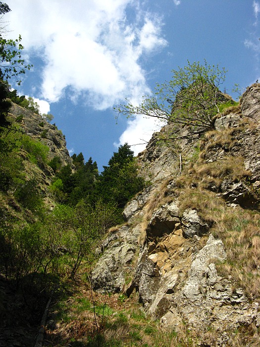 /cozia/img_7131.jpg