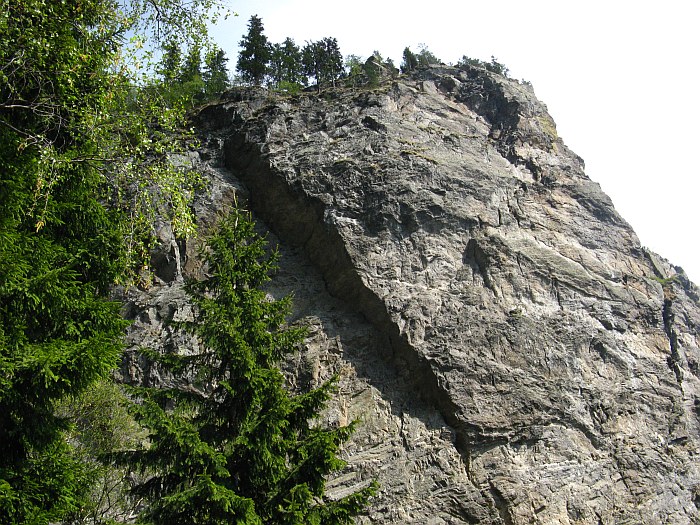 /cozia/img_7136.jpg