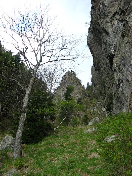 /cozia/img_7137.jpg