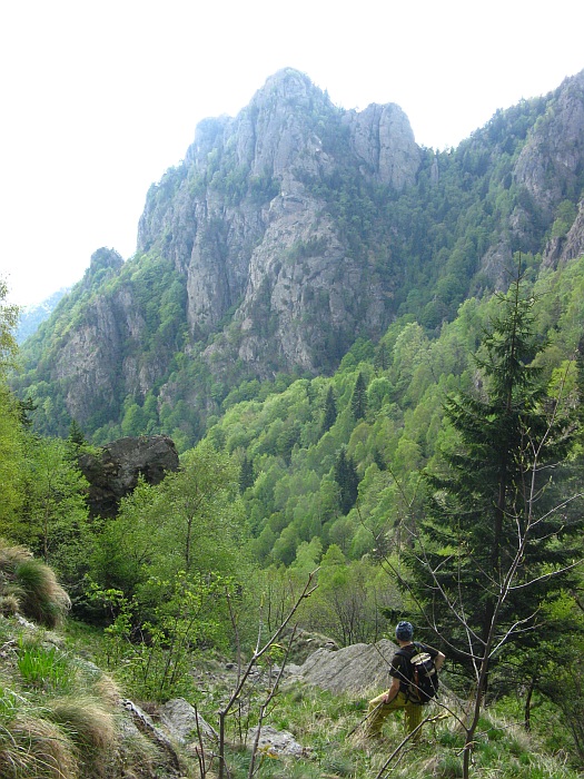 /cozia/img_7138.jpg