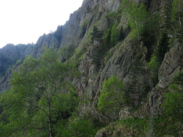/cozia/img_7139.jpg