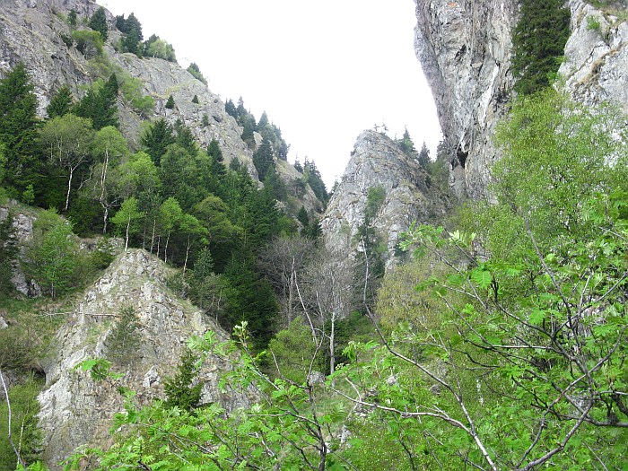/cozia/img_7142.jpg