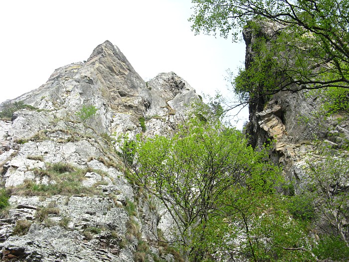 /cozia/img_7146.jpg