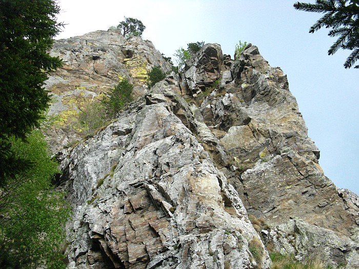 /cozia/img_7147.jpg