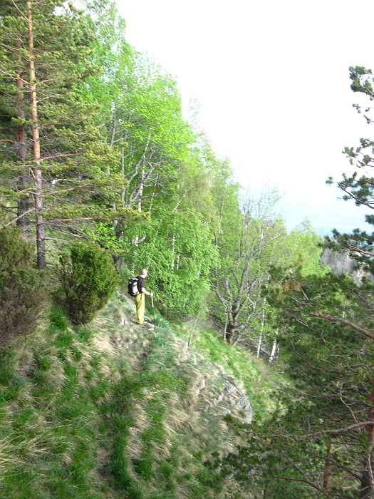 /cozia/img_7149.jpg