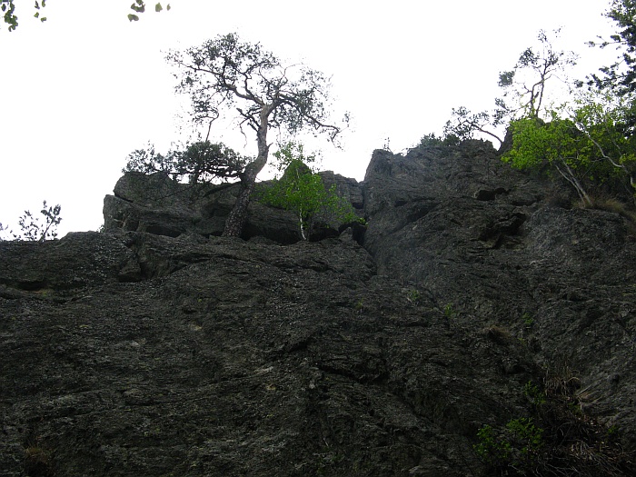 /cozia/img_7154.jpg