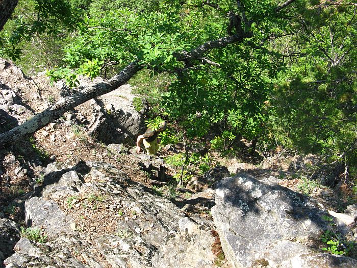 /foarfeca/img_7022.jpg