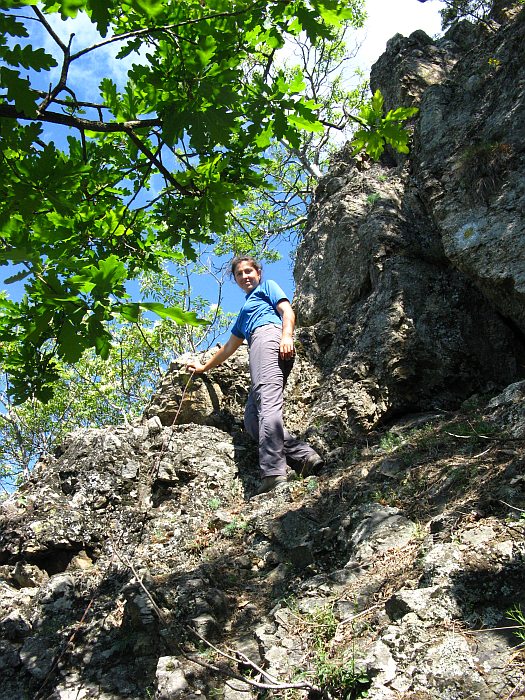 /foarfeca/img_7030.jpg