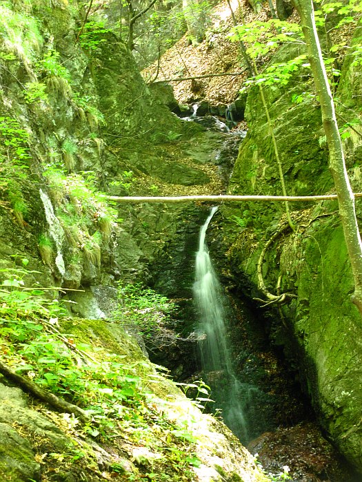 /foarfeca/img_7048.jpg