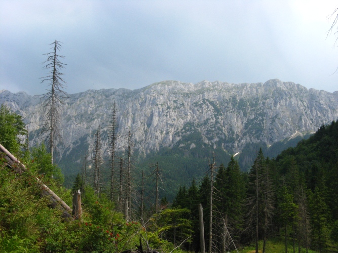 /merid11/img_7966.jpg