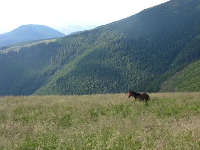 /merid11/img_8014.jpg