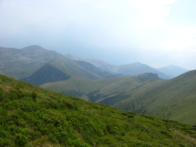 /merid111/img_8065.jpg