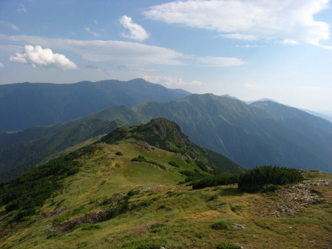 /merid111/img_8068.jpg