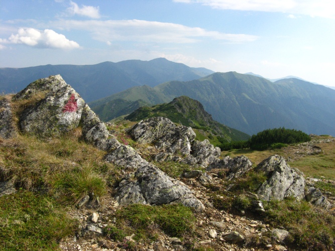 /merid111/img_8071.jpg