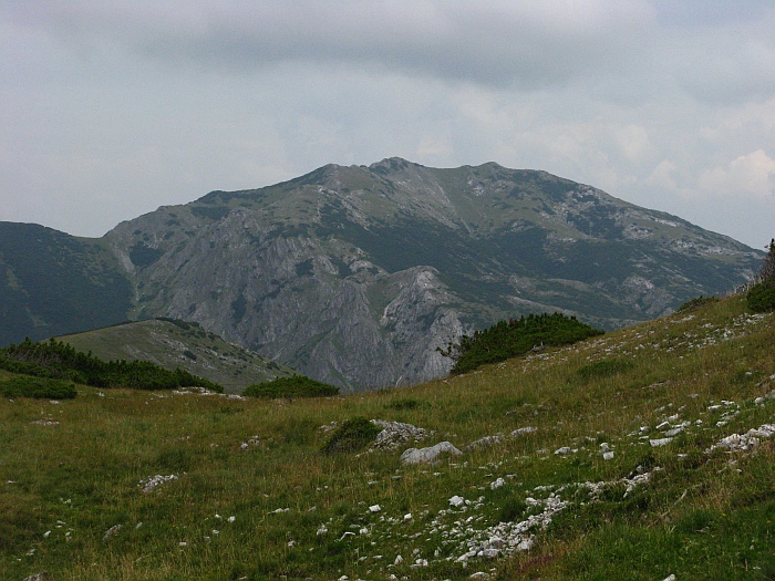 /merid33/img_8537.jpg