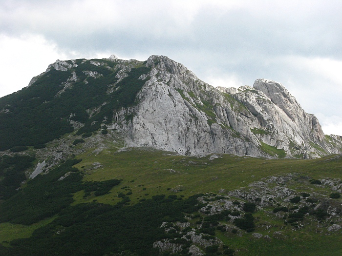 /merid33/img_8555.jpg