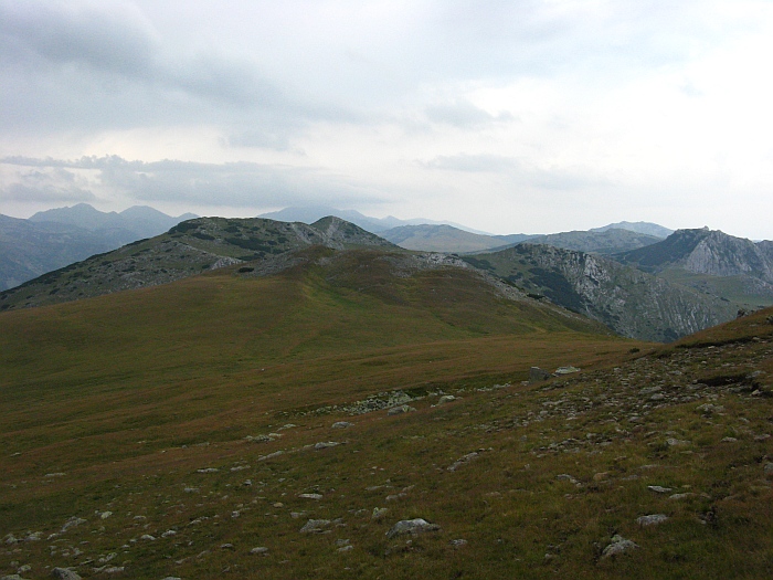 /merid333/img_8561.jpg