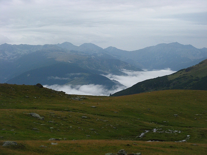 /merid333/img_8584.jpg