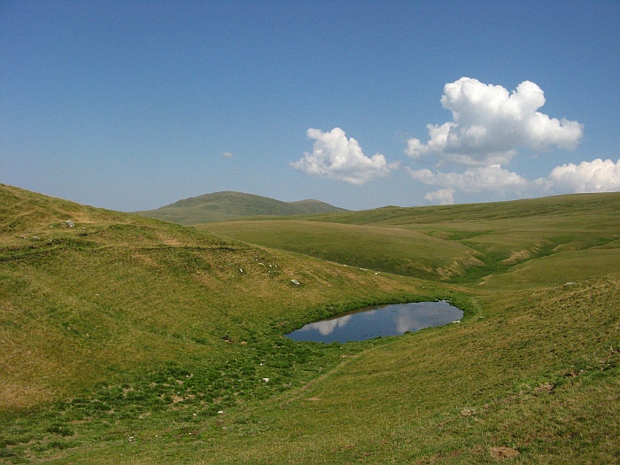 /merid3333/img_8662.jpg