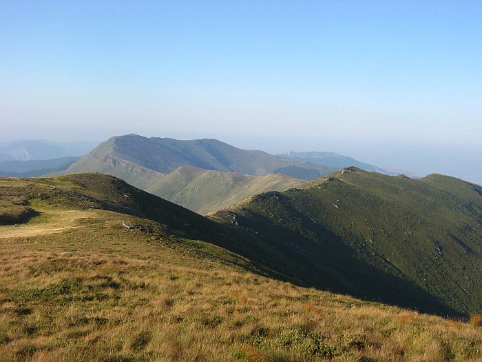 /merid3333/img_8699.jpg