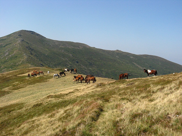 /merid3333/img_8722.jpg