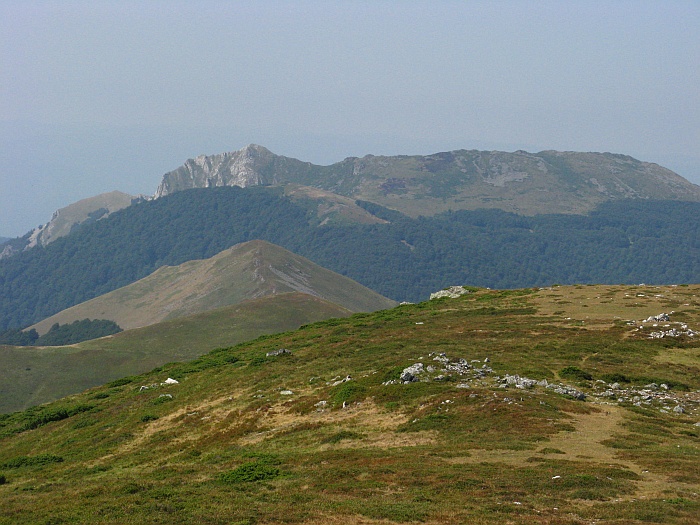 /merid3333/img_8726.jpg