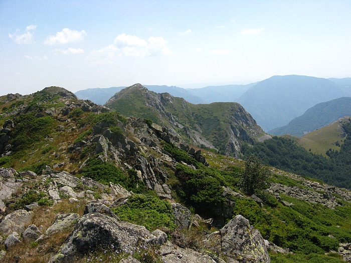 /merid33333/img_8739.jpg