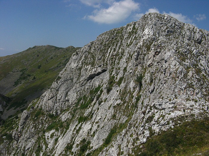 /merid33333/img_8759.jpg
