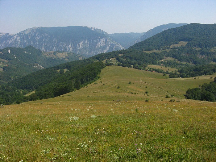 /merid33333/img_8772.jpg