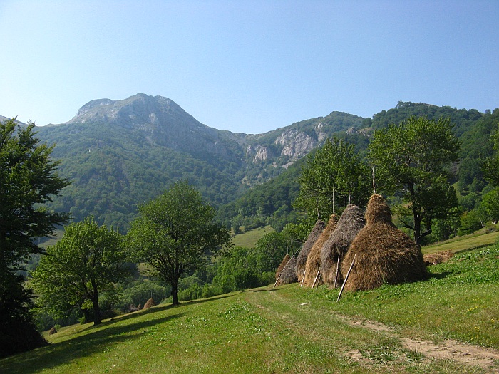 /merid33333/img_8778.jpg