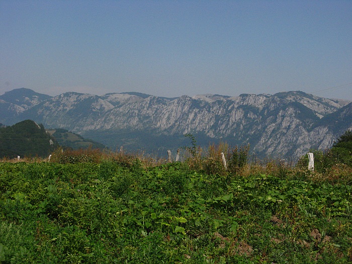 /merid33333/img_8781.jpg